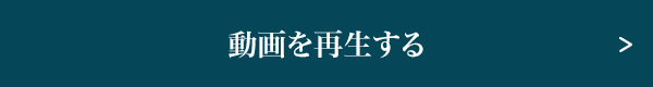 動画を再生する